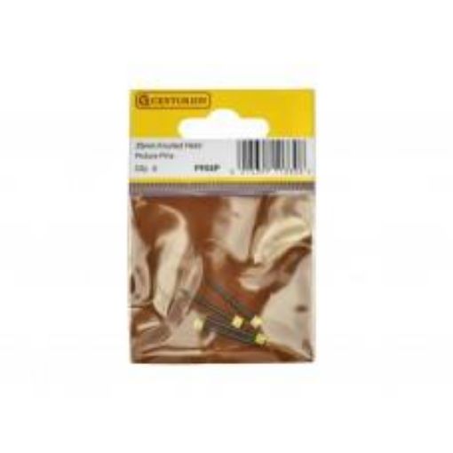 Picture of Centurion Brass Picture Pins 25mm Pack of 4 Knurled Head